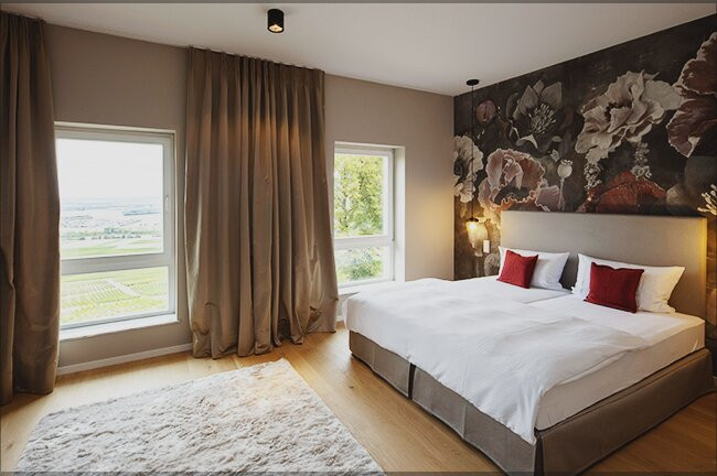 Hofgut Wissberg – Das Weinberghotel主图