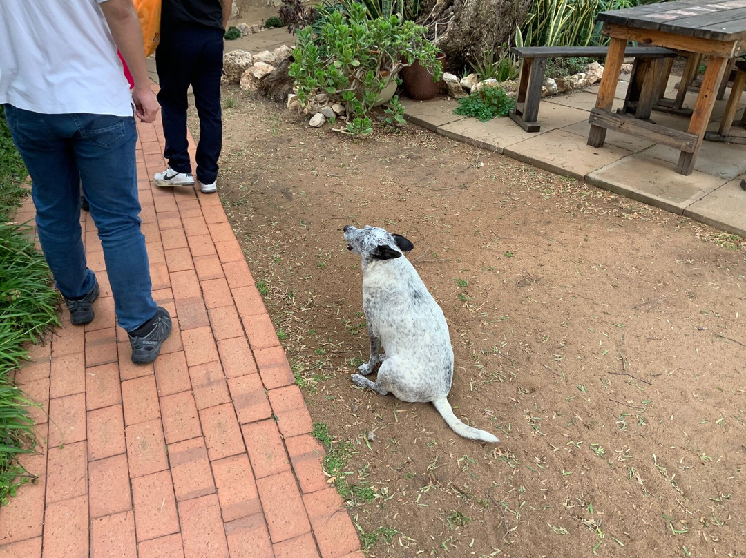 Greenough Museum & Gardens-Greenough必去景点