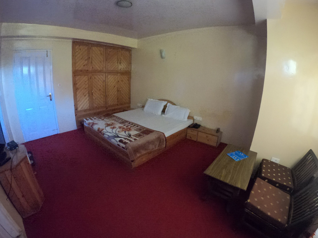 Hotel Snowflake主图