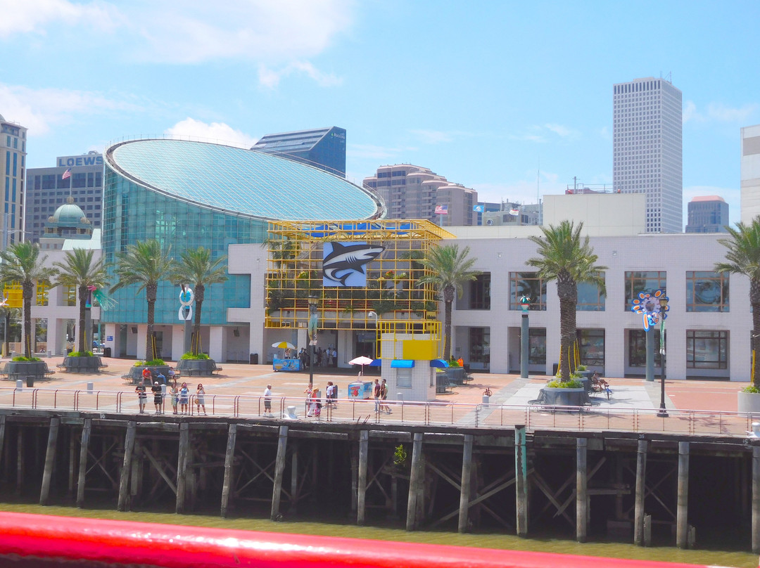 Algiers Ferry景点图片