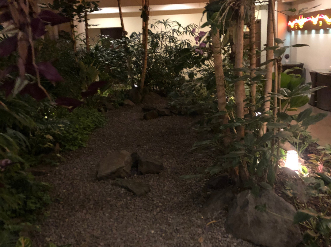 佛得岛酒店主图