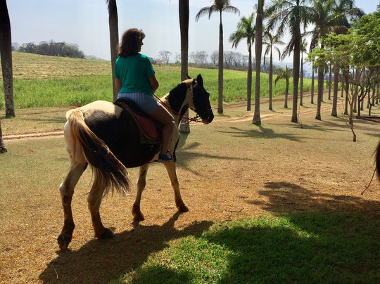 Hotel Fazenda Santa Tereza主图