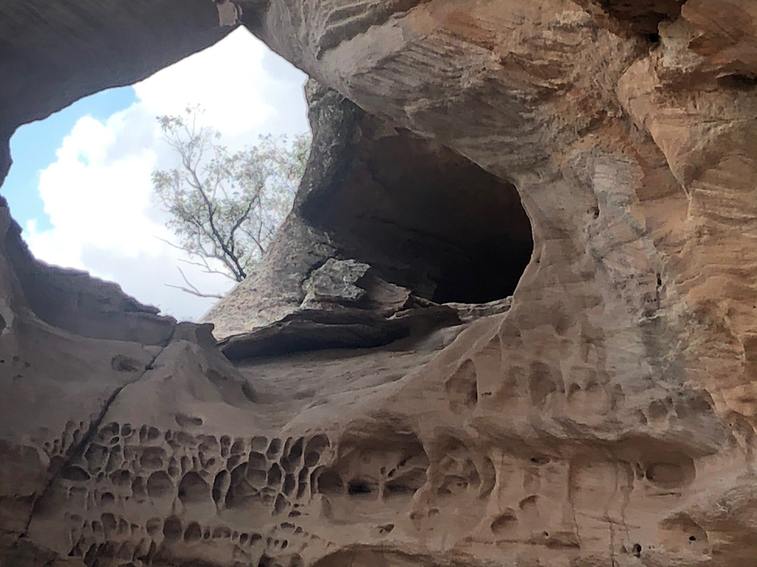 Sandstone Caves景点图片