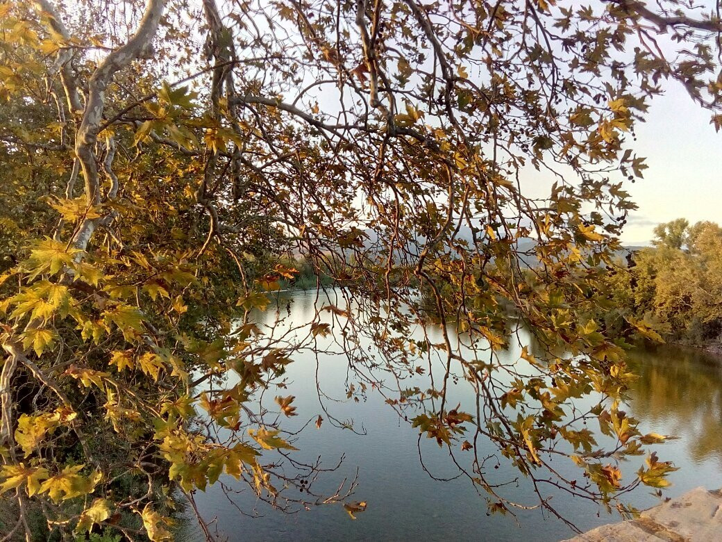 Arta's Bridge-Arta必去景点