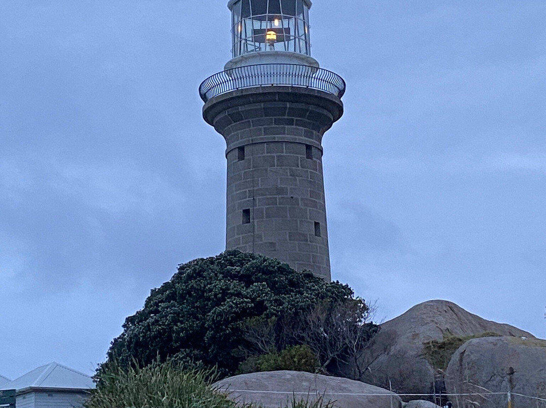 Montague Island Adventures & Charter Fish Narooma景点图片