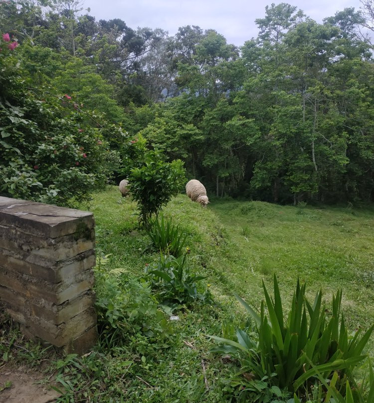 Pousada Hinckel主图