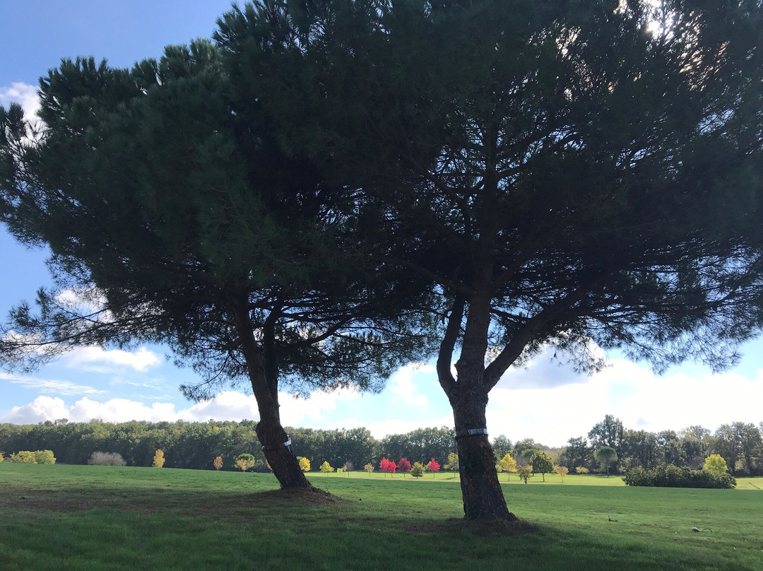 Golf des Vigiers-Monestier必去景点