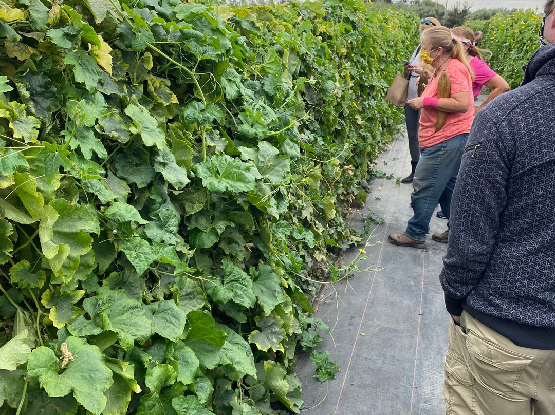 MoonBeam Farm-Corning必去景点