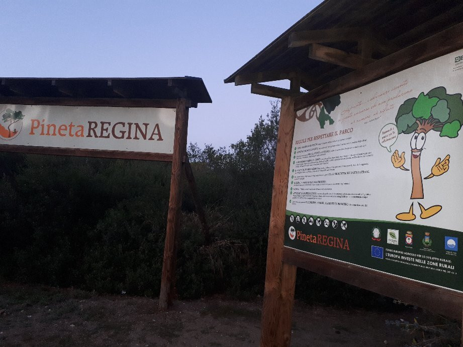 Parco Pineta Regina景点图片
