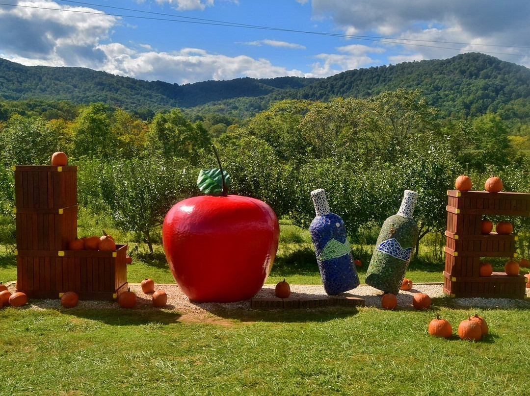 Peaks of Otter Winery-Bedford必去景点