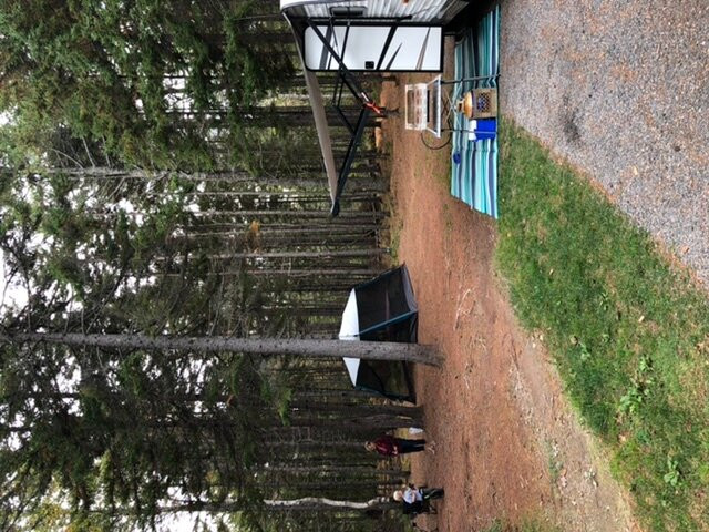 Amherst Shore Provincial Park-Northport必去景点