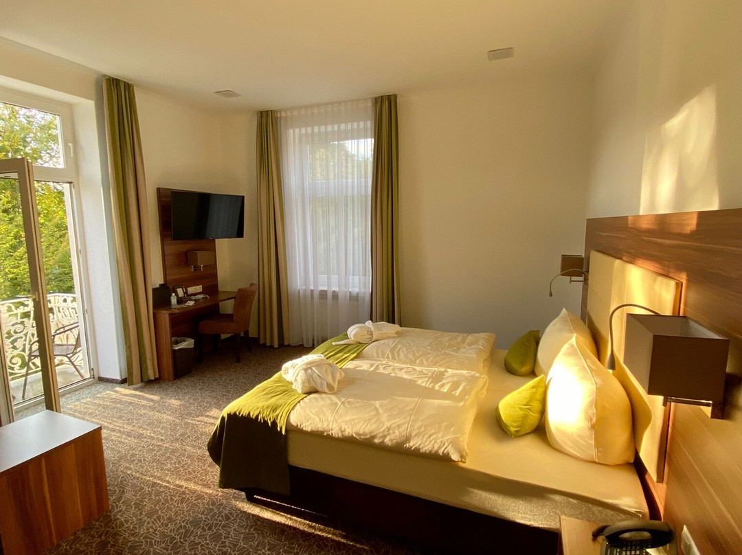 Hotel Villa Elsa主图