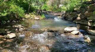 Warm Springs Pools景点图片