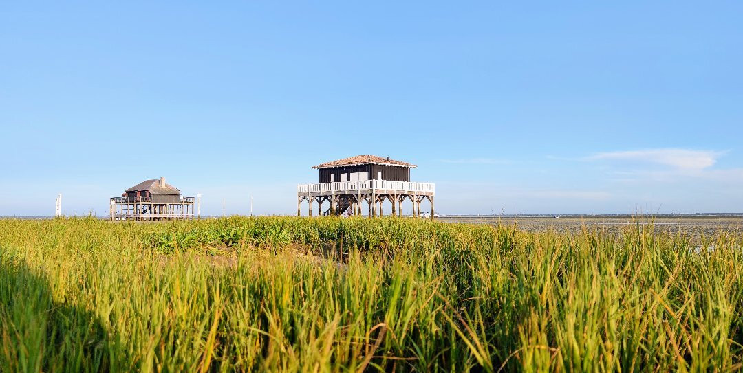 Île aux Oiseaux景点图片