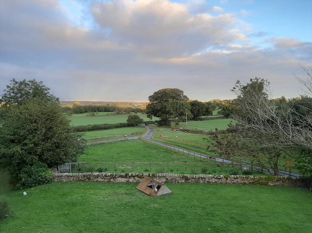 Low Gingerfield Farm B&B主图