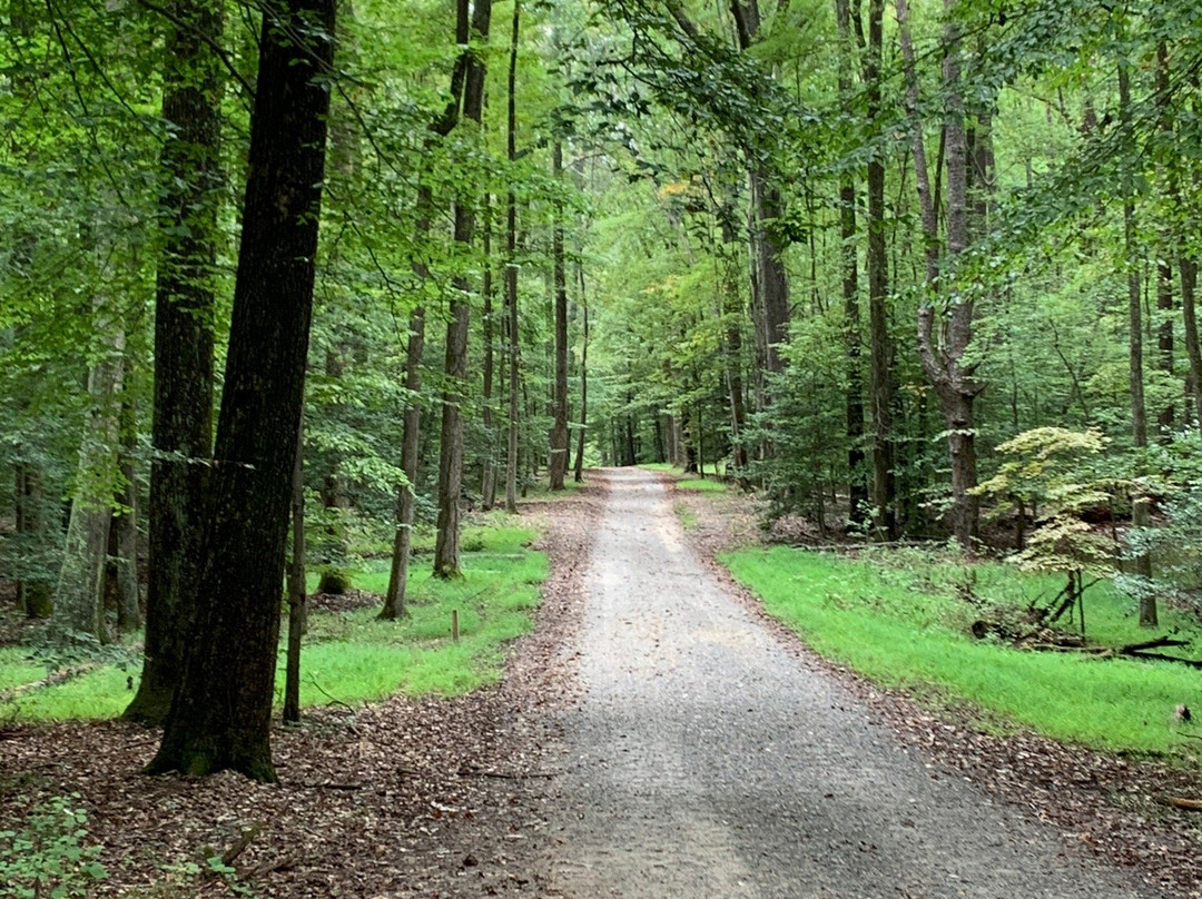 Caledon State Park景点图片