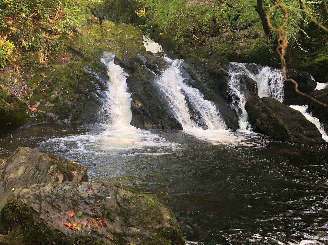 Glengariff Woods景点图片