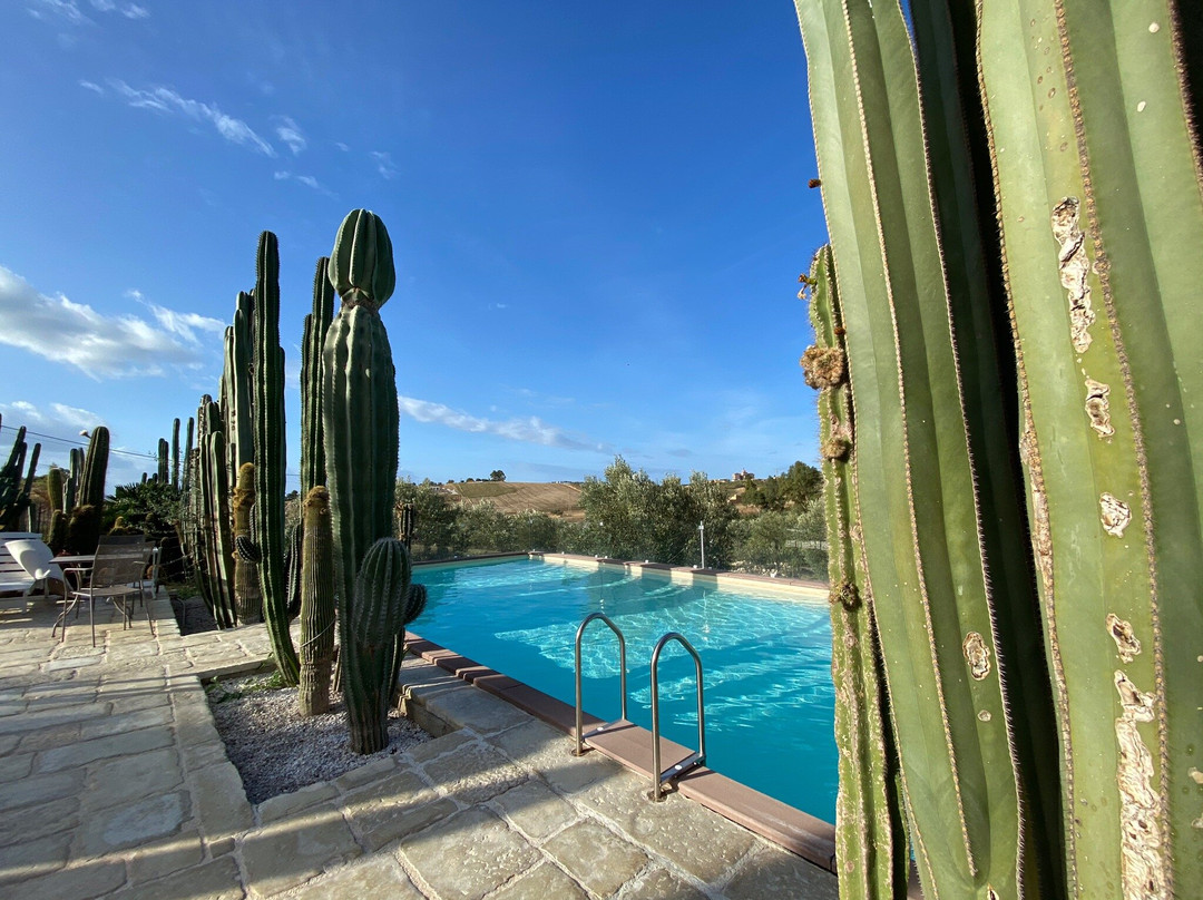 Garden Cactus - Relais, Suite de Charme and Botanical Park主图