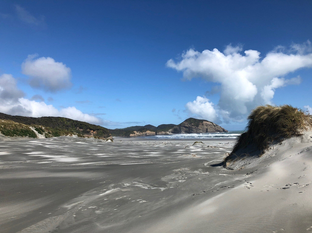 Farewell Spit Nature Experience景点图片