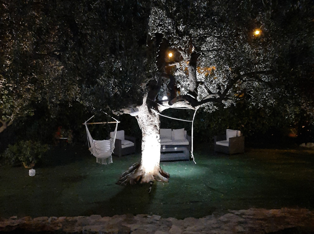 B&B All'Ombra degli Ulivi主图