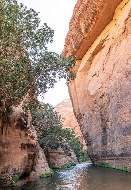 Guelta De Bachikele-Fada必去景点
