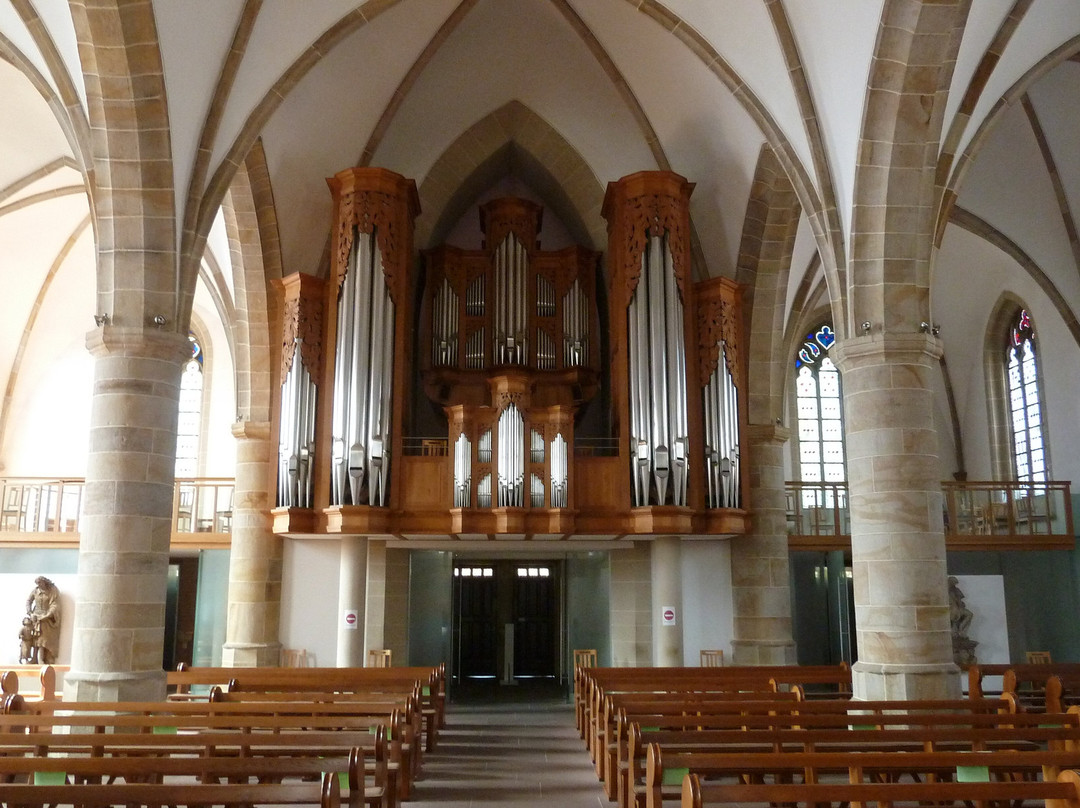 Propsteikirche St. Vitus景点图片