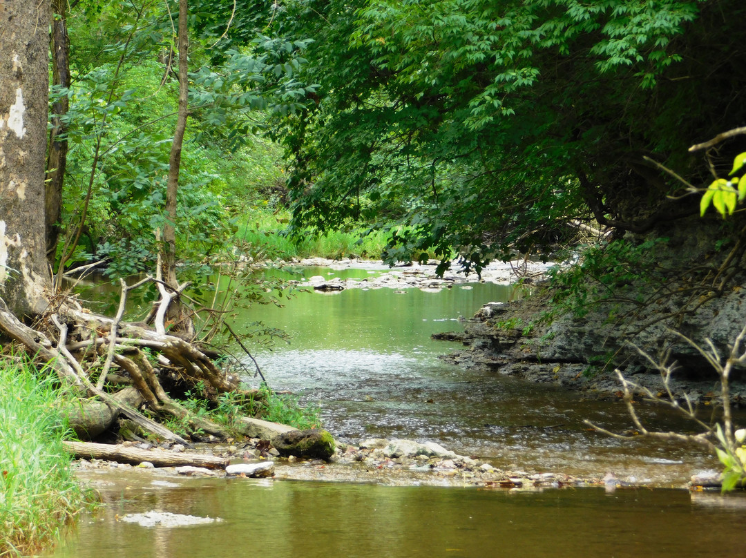 Thistlewaite Falls-里士满必去景点