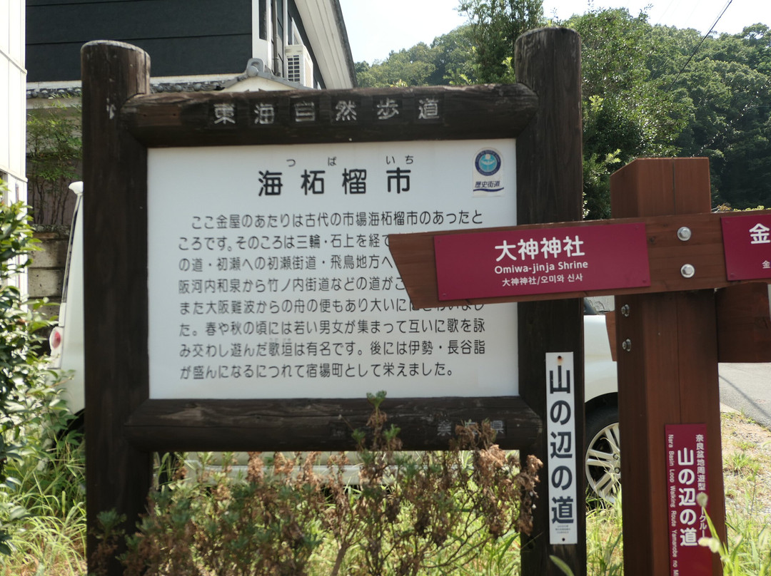 Tsubaichi-樱井市必去景点