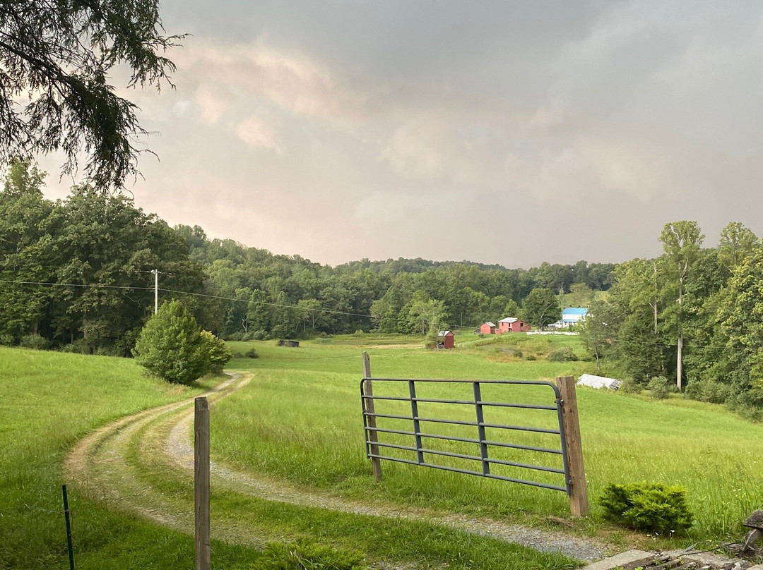 Carnifex Ferry Cabins主图