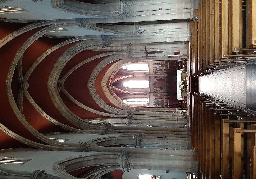 Basilique Notre-Dame景点图片