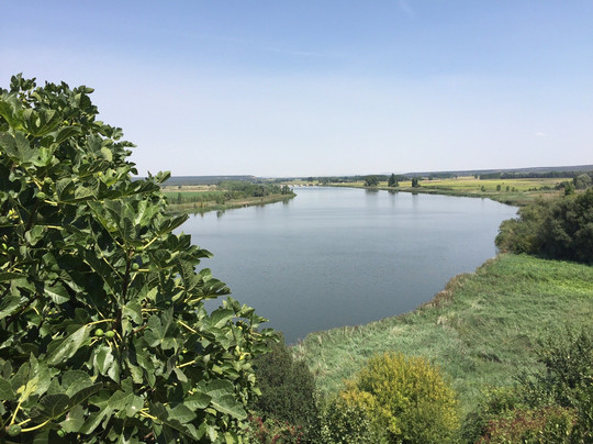 Reserva Natural Riberas De Castronuño-Castronuno必去景点