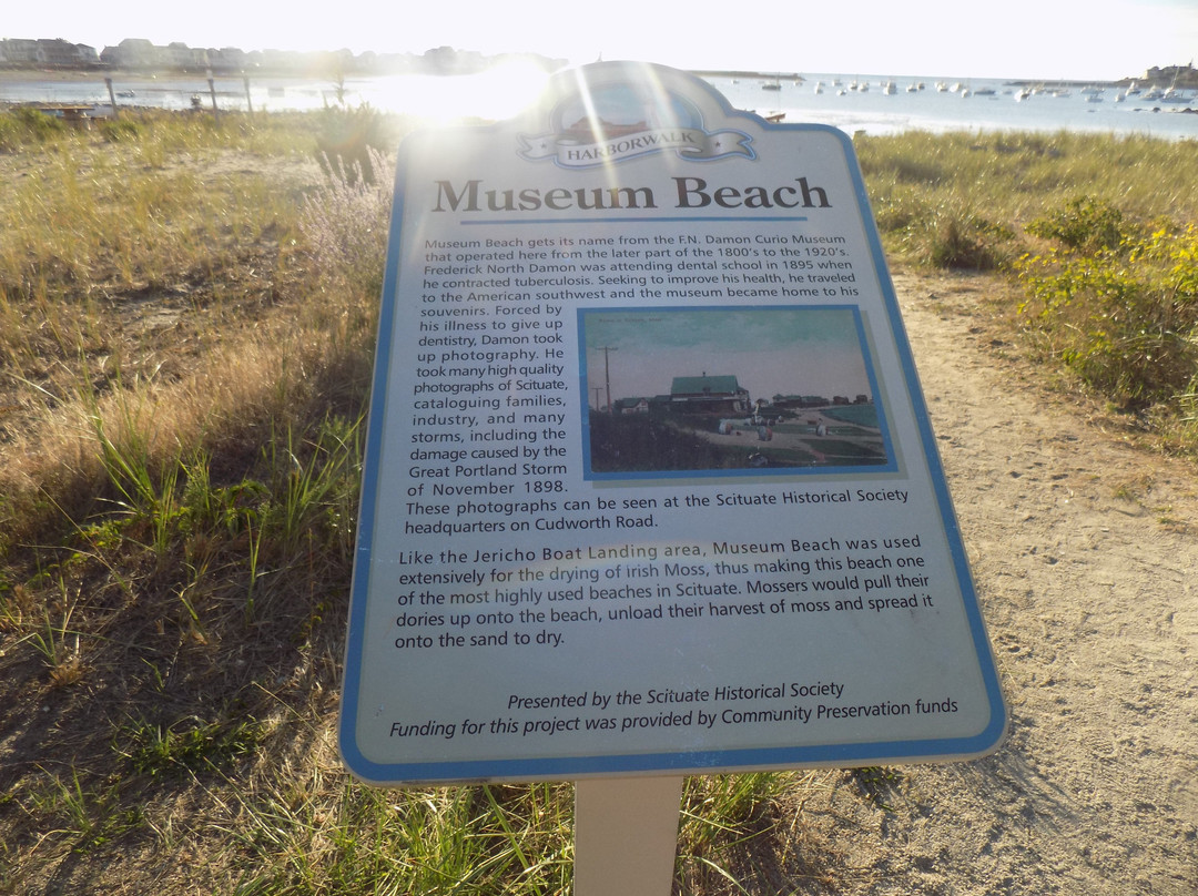 Museum Beach景点图片
