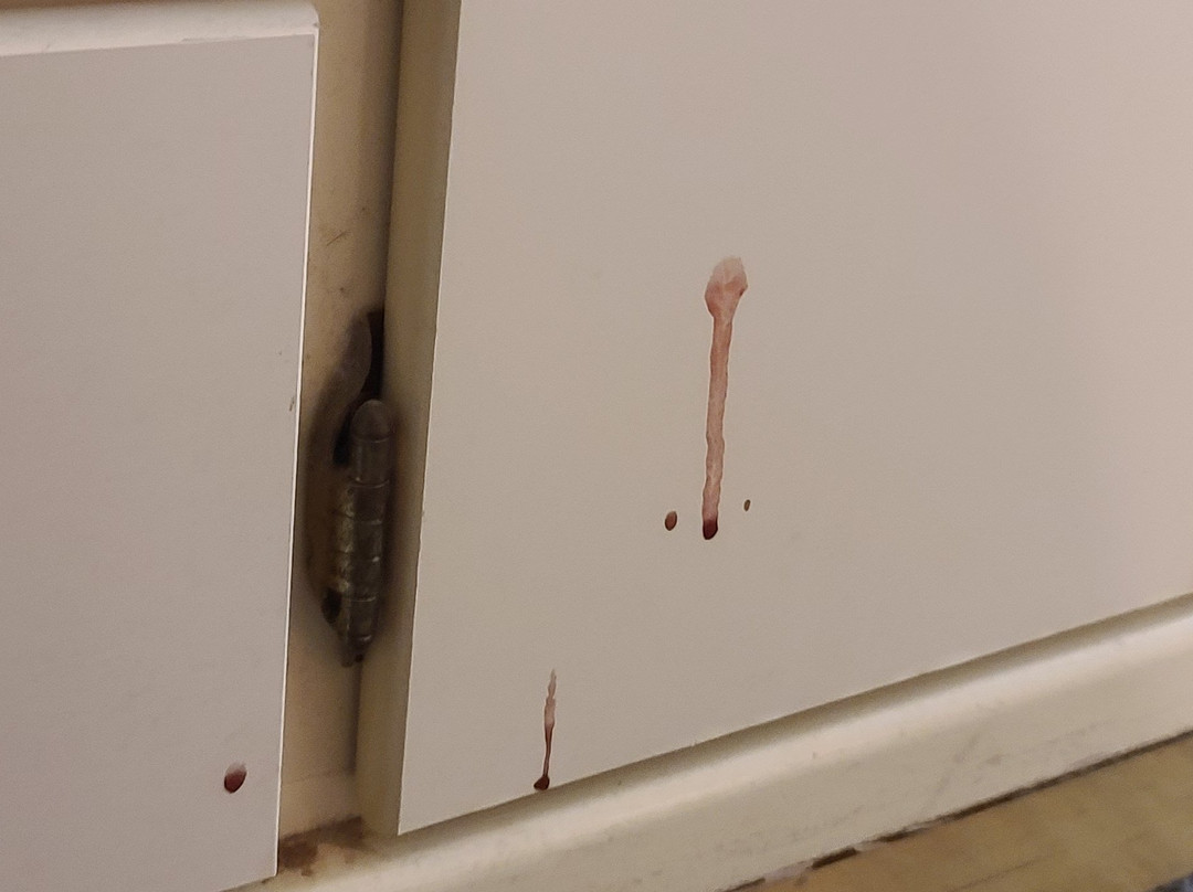 Super 8 by Wyndham Lindsay Olive Tree主图