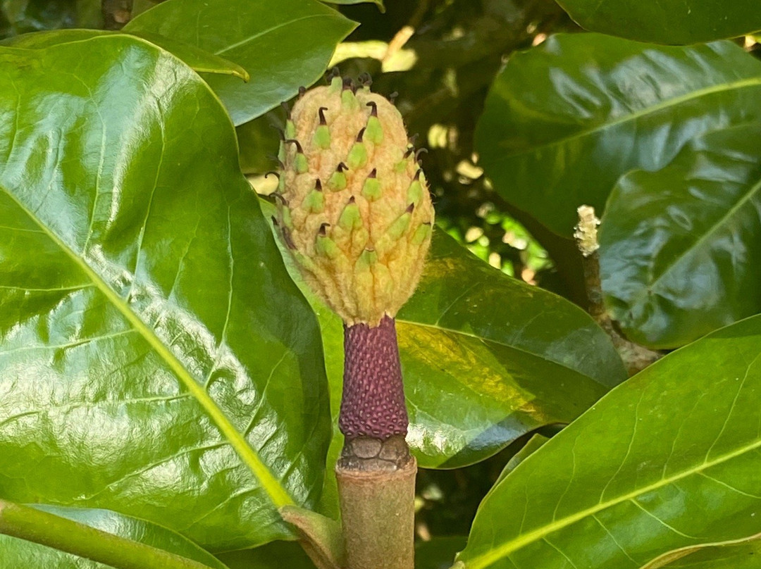 The Grange Court Hotel主图