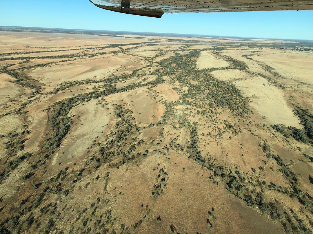 Elite Aviation Services Pty Ltd-Winton必去景点