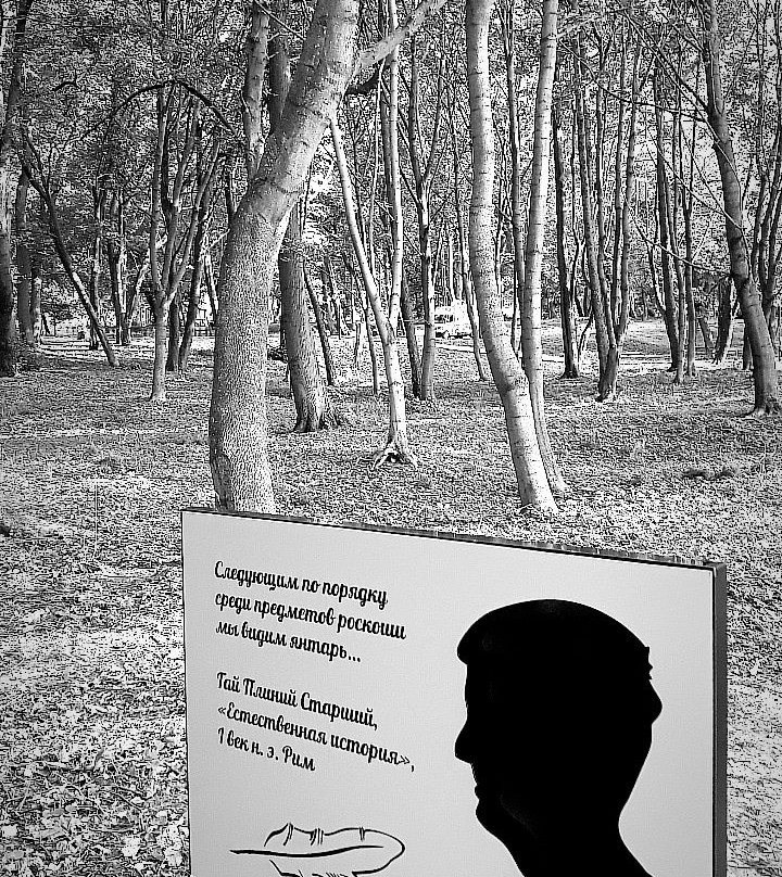 Literaturnaya Yantarnaya Alley景点图片