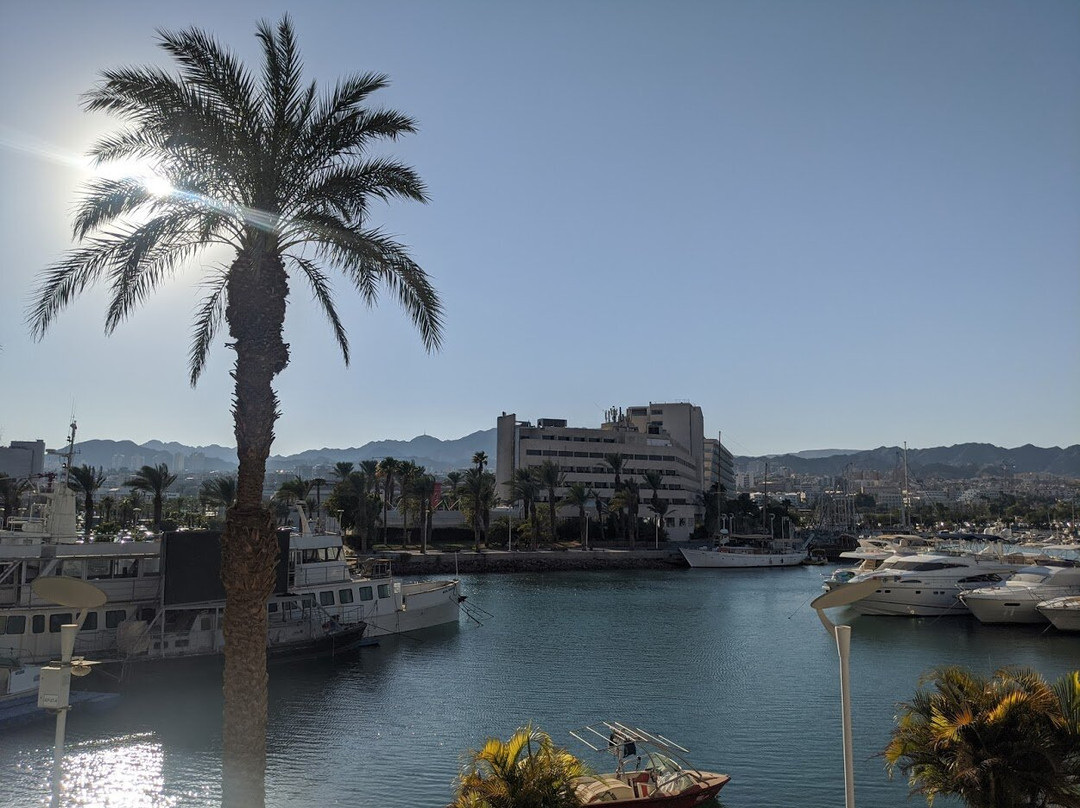 Lagoona by Isrotel Collection主图