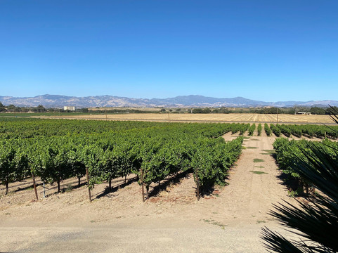 Kalyra Winery-圣伊内斯必去景点