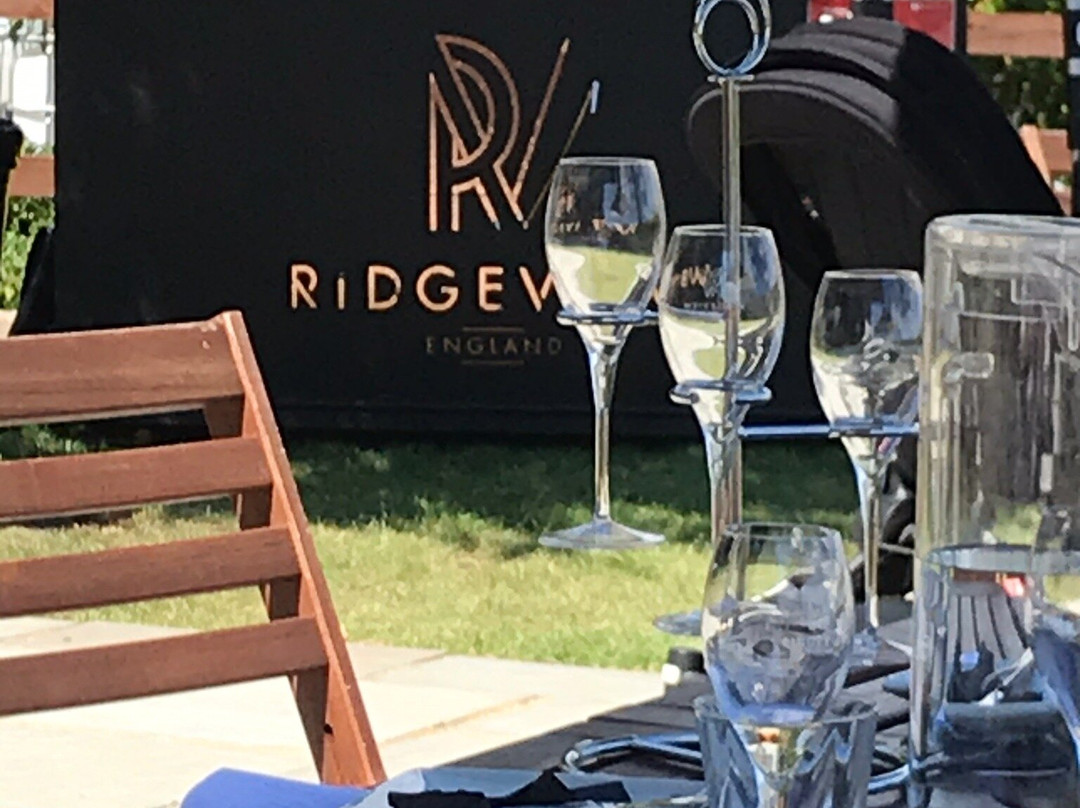 Ridgeview Wine Estate景点图片