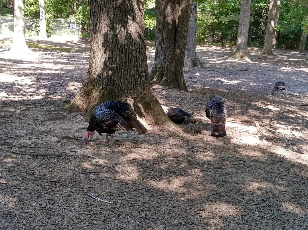 Woodlands Nature Station-Cadiz必去景点