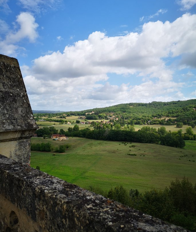 Chateau de Marzac景点图片