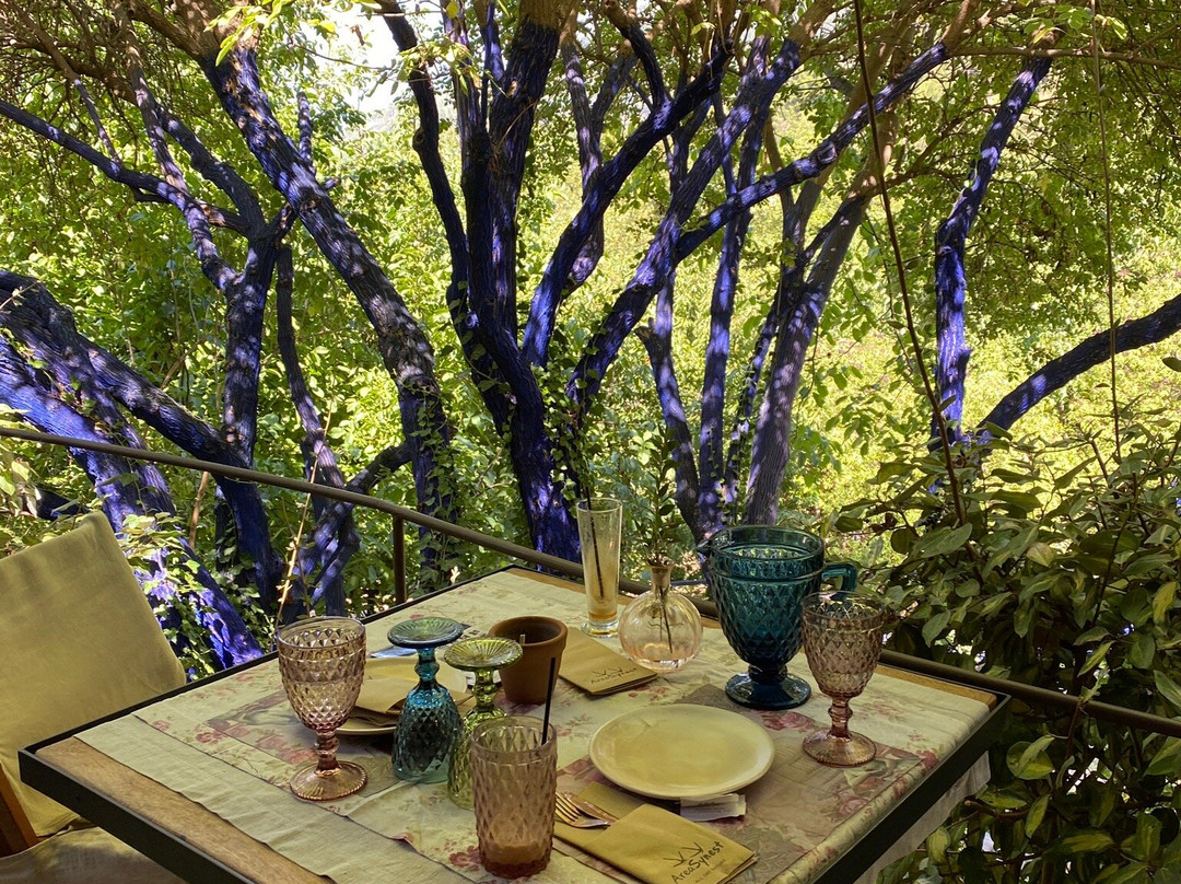 Area Synest Nature Suites主图