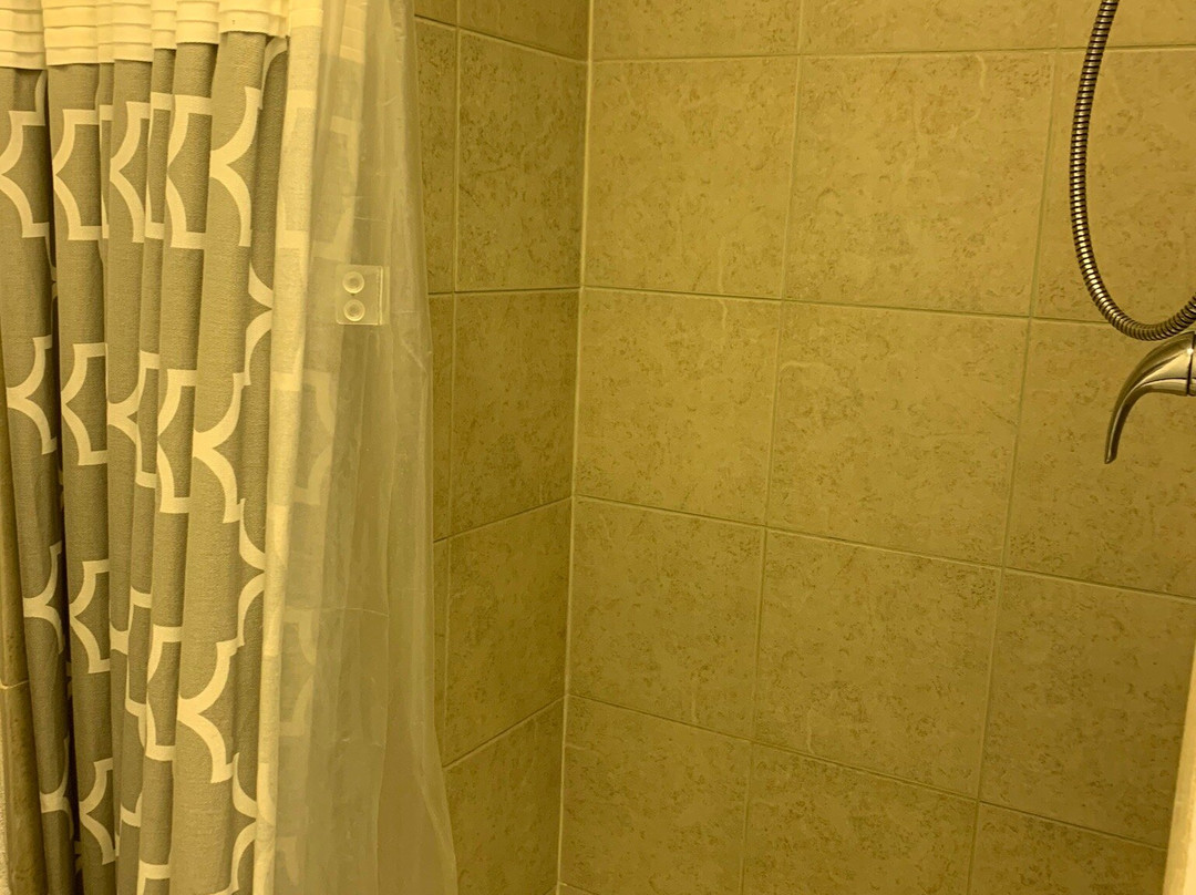 Trailside Treasures主图