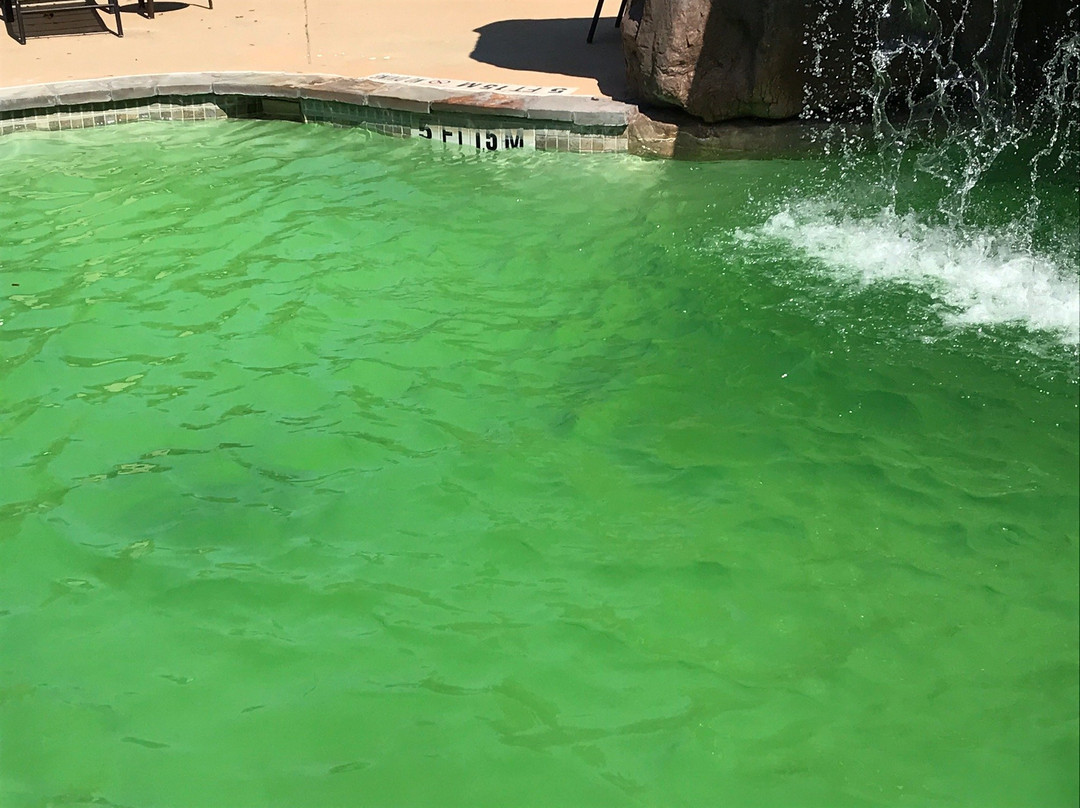 Holiday Inn Express & Suites Fredericksburg By IHG主图