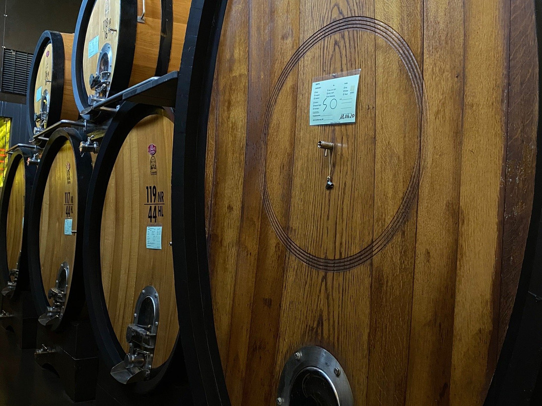 Cantina Merano Burggräfler景点图片