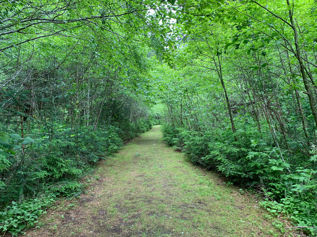 Exchamsiks River Provincial Park-Kitimat-Stikine District必去景点