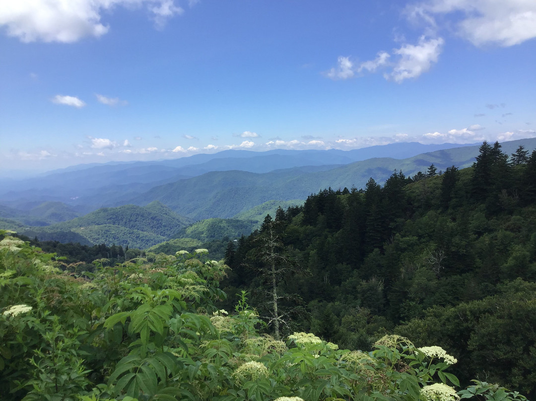 Four Seasons Inn主图