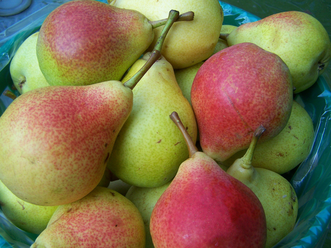 Paradis des Fruits Dunham-Dunham必去景点