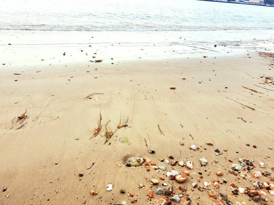 Greenwood Guest House主图