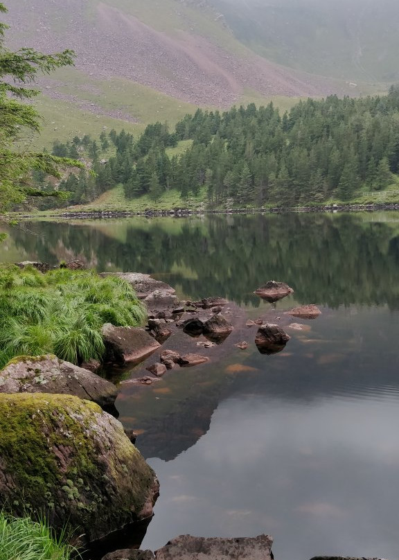 Glenteenassig Forest Park景点图片